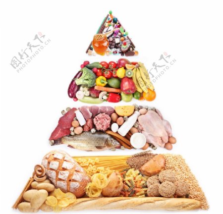 饮食结构金字塔图片