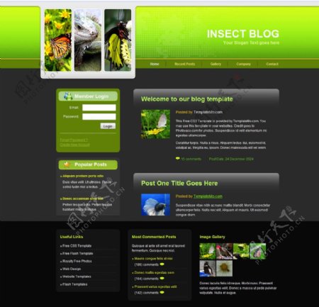 昆虫爱好者网站模版图片