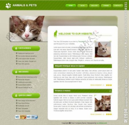动物宠物网页模板图片