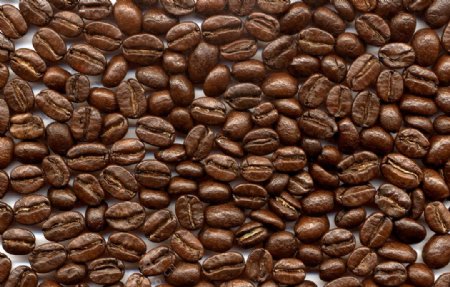 巴西名贵咖啡豆图片