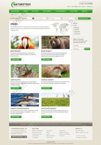 绿色动物网站模板图片