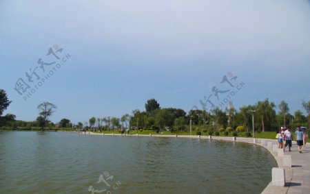 莲花湖畔图片