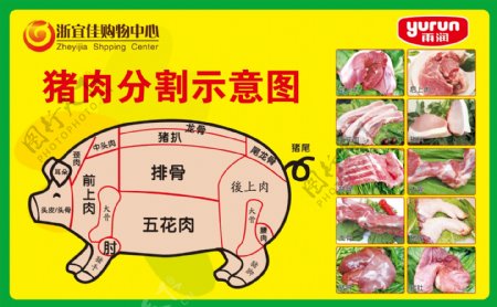 猪肉分割示意图PSD分层素材图片