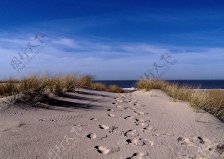 夏日海边沙滩风景图片