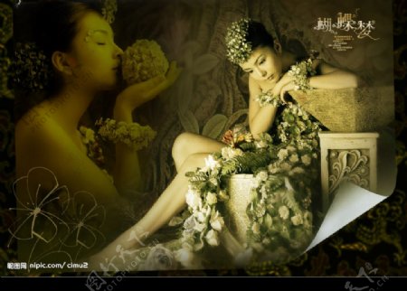 韩国精美婚纱模版图片
