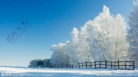 雪景图片