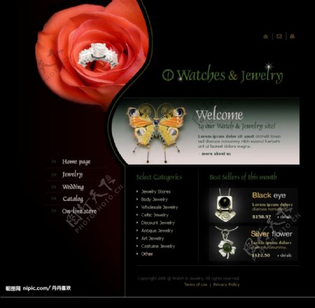 精美的欧美珠宝网页设计模板二图片