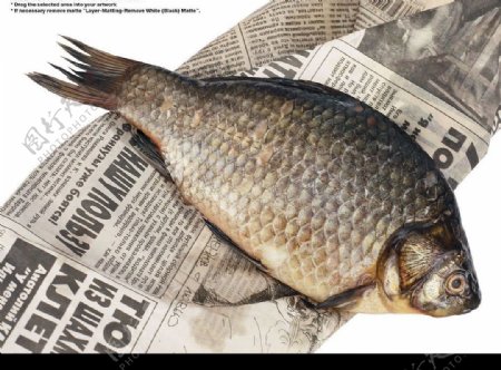 报纸上的鲜鱼图片