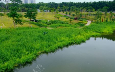 城市生态绿色景观图片