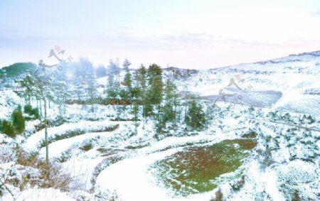 家乡雪景图片