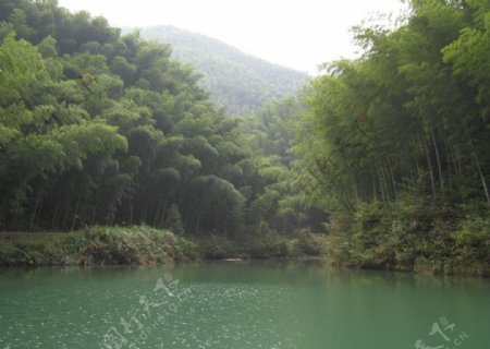竹林水潭图片