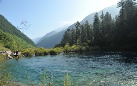 河流溪水图片