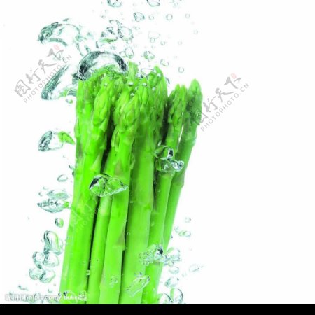 动感蔬菜4图片
