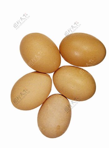 鸡蛋白背景素材图片
