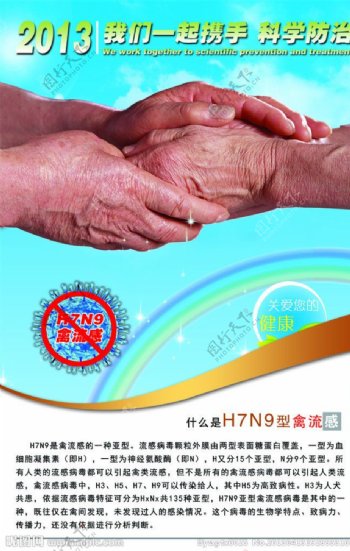 H7N9禽流感图片