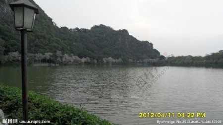 肇庆七星岩湖图片