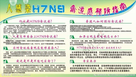 H7N9禽流感知识及图片