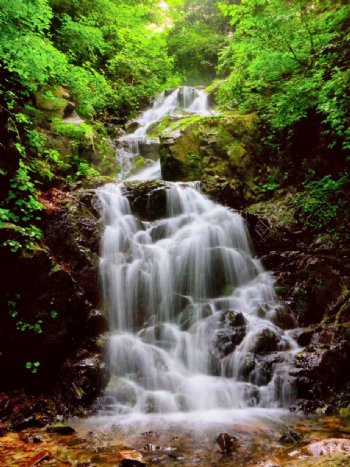 绿石谷瀑布图片