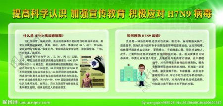 H7N9禽流感宣传展图片