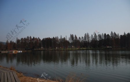 湖岸图片