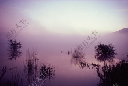 浓雾朦胧山水风景图片