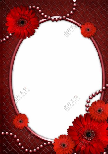 红色菊花相框图片