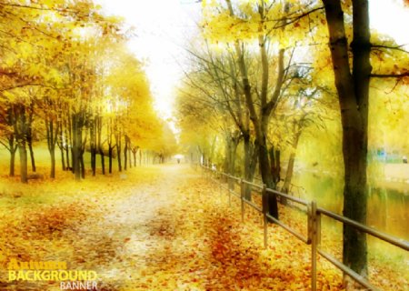 金色秋季风景背景矢量素材图片