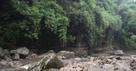 竹林小溪图片