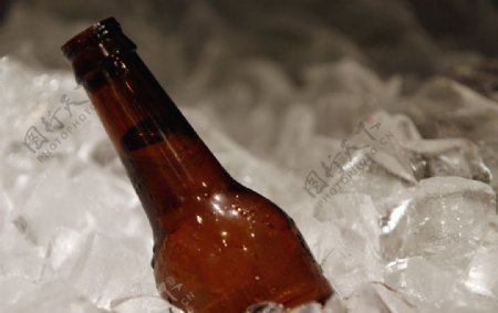 啤酒与冰块2图片