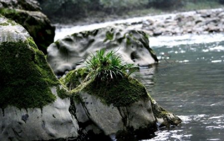武陵峡谷中石头图片