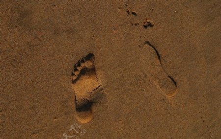 沙滩脚印图片