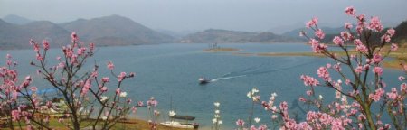 湖北咸宁金桂湖远景图片