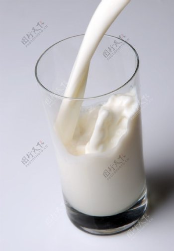 牛奶饮料专题图片