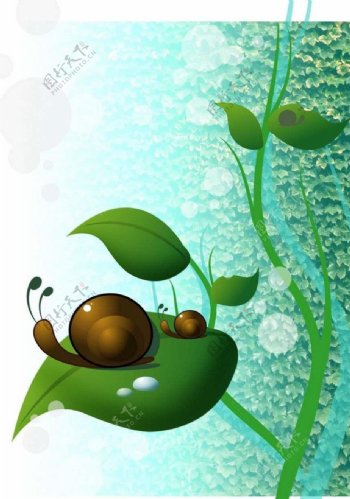 蜗牛绿叶图片