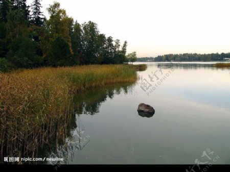 幽靜的湖景图片