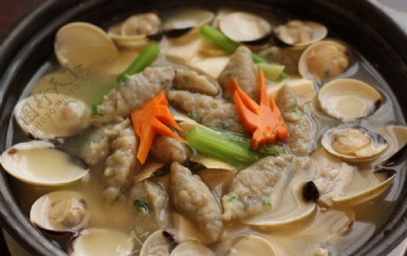 鸡汤海贝鱼青豆腐煲图片