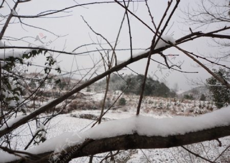 山村雪景图片