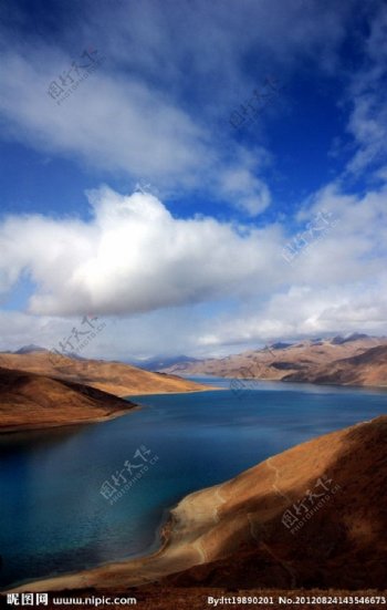 西藏羊湖图片