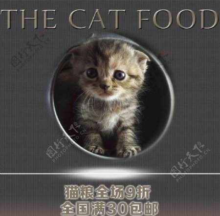 猫粮促销广告猫粮图片