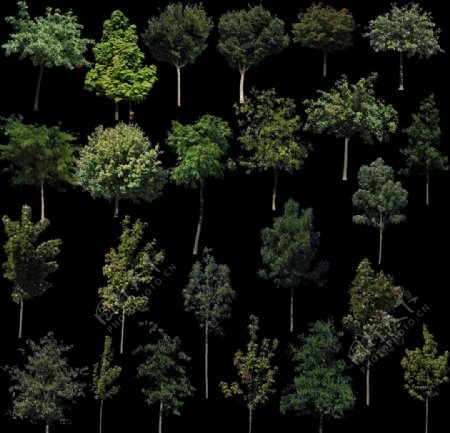 树木植物分层素材PSD图片