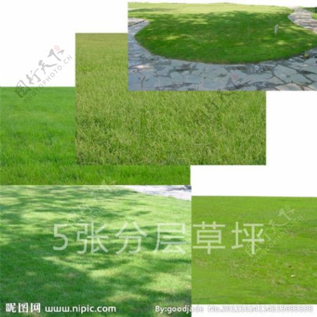 绿色草坪图片