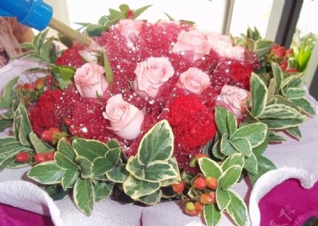 粉玫瑰花束图片