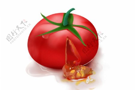 手绘红蕃茄图片
