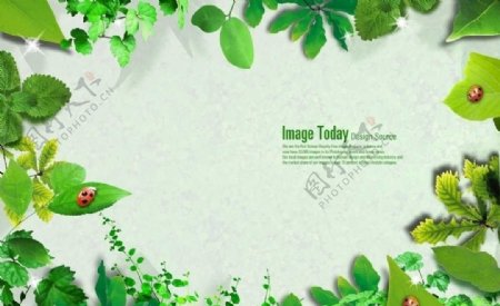绿色清新自然素材图片