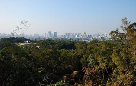 深圳中山公园眺望城市景观图片