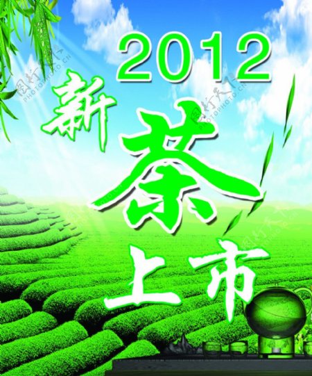 2012新茶上市图片
