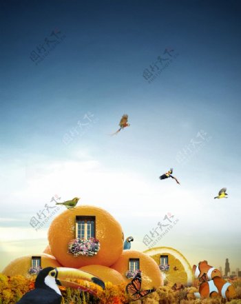 水果餐厅橙图片
