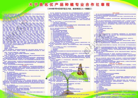 大宁县名优产品种植专业合作社图片