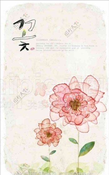 手绘淡彩花卉图片