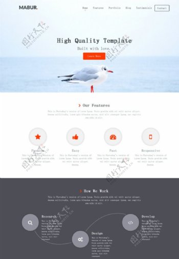 海上的沤鸟网页模板图片